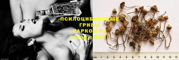крисы Павловск