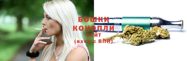спайс Снежногорск