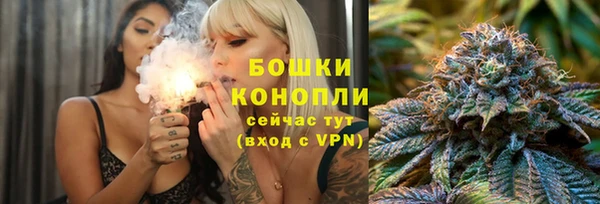 спайс Снежногорск