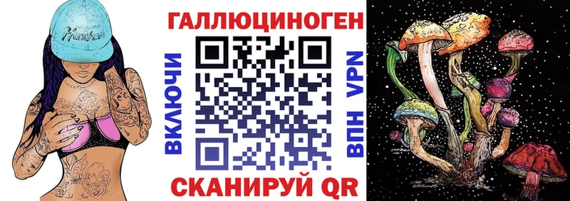 где найти   Сокол  Галлюциногенные грибы мицелий 