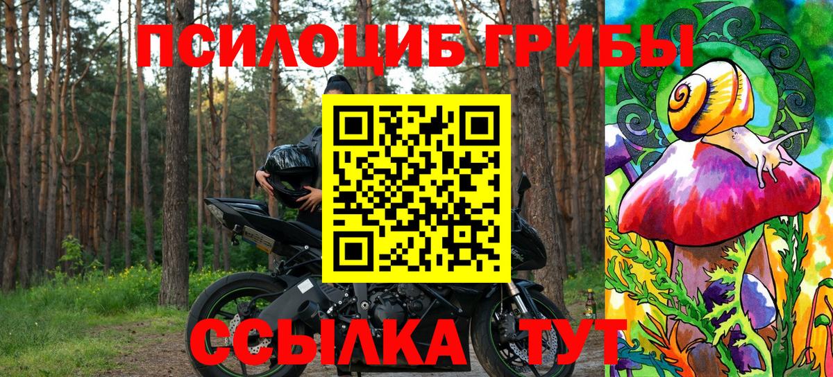 Сокол  Галлюциногенные грибы мухоморы  купить закладку  Вход с VPN  Галлюциногенные грибы Magic Shrooms 