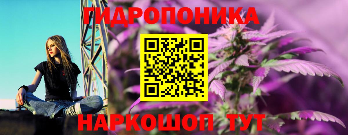 Шишки марихуана Amnesia Сокол